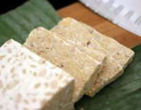 tempeh
